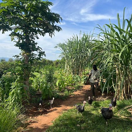 Rutete Eco Lodge Rwinkwavu Esterno foto