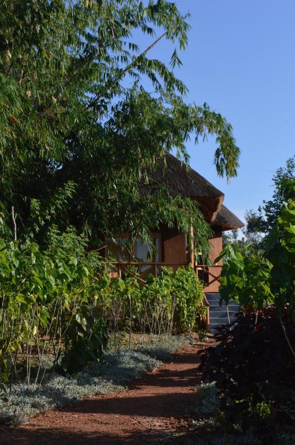Rutete Eco Lodge Rwinkwavu Esterno foto