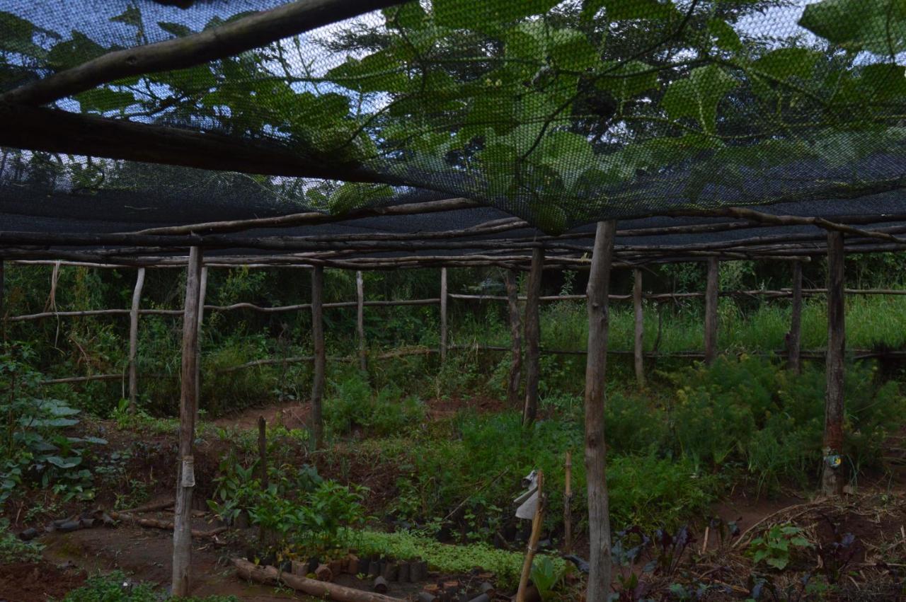 Rutete Eco Lodge Rwinkwavu Esterno foto